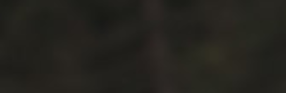 Slovenský zväz malého futbalu